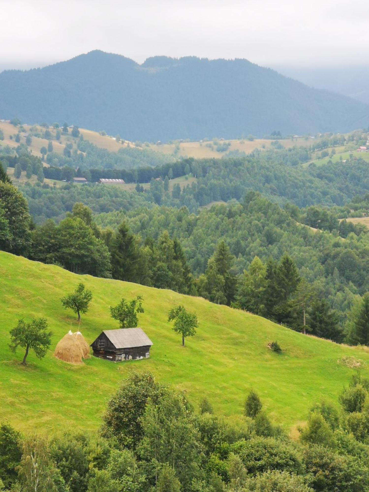 Glamping Zazen Hotel Drumu Carului Exterior photo